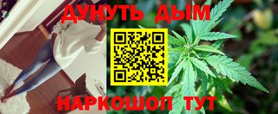 apvp Обь