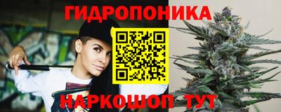 apvp Нягань